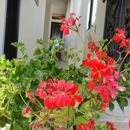 Bed and Breakfast Il Casale Di Zi'Leo Campomarino  Zewnętrze zdjęcie