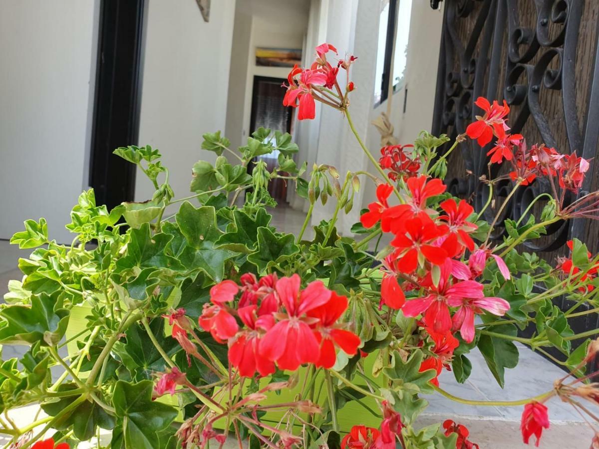 Bed and Breakfast Il Casale Di Zi'Leo Campomarino  Zewnętrze zdjęcie