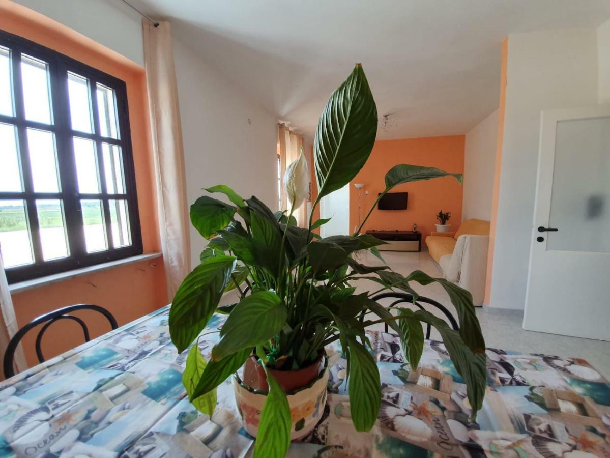 Bed and Breakfast Il Casale Di Zi'Leo Campomarino  Zewnętrze zdjęcie